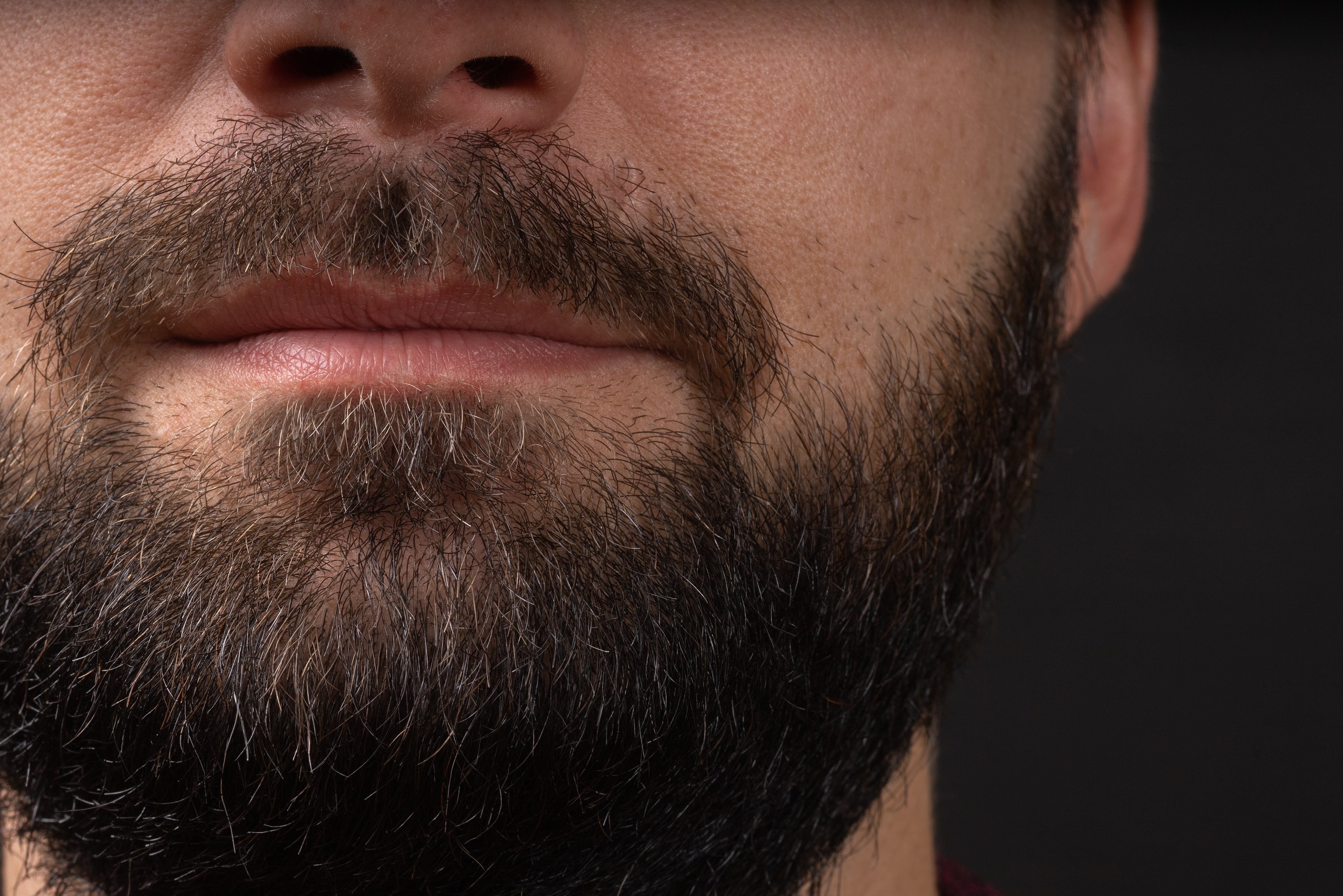 Hemp Infused Beard Growth Oil - Unscented